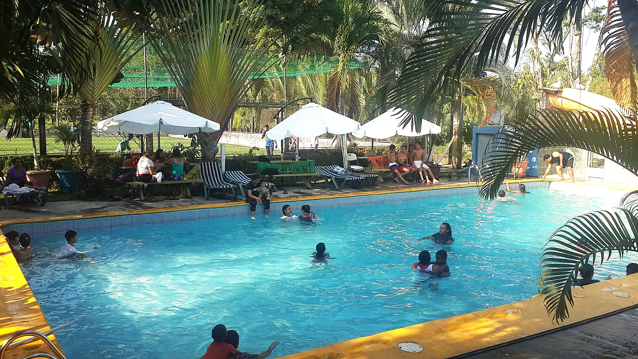 Piscina rodeada de palmeras y palapas en el Centro Turístico El Rodeo